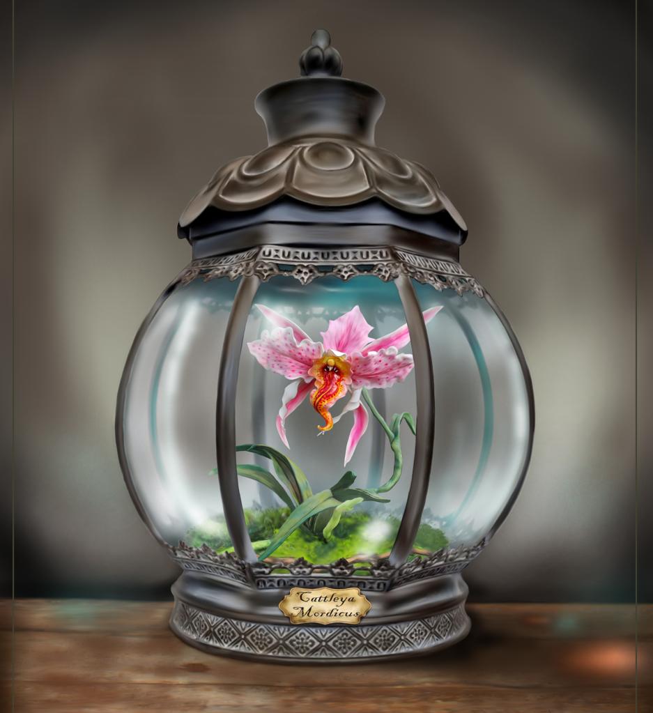 Les Orchidées