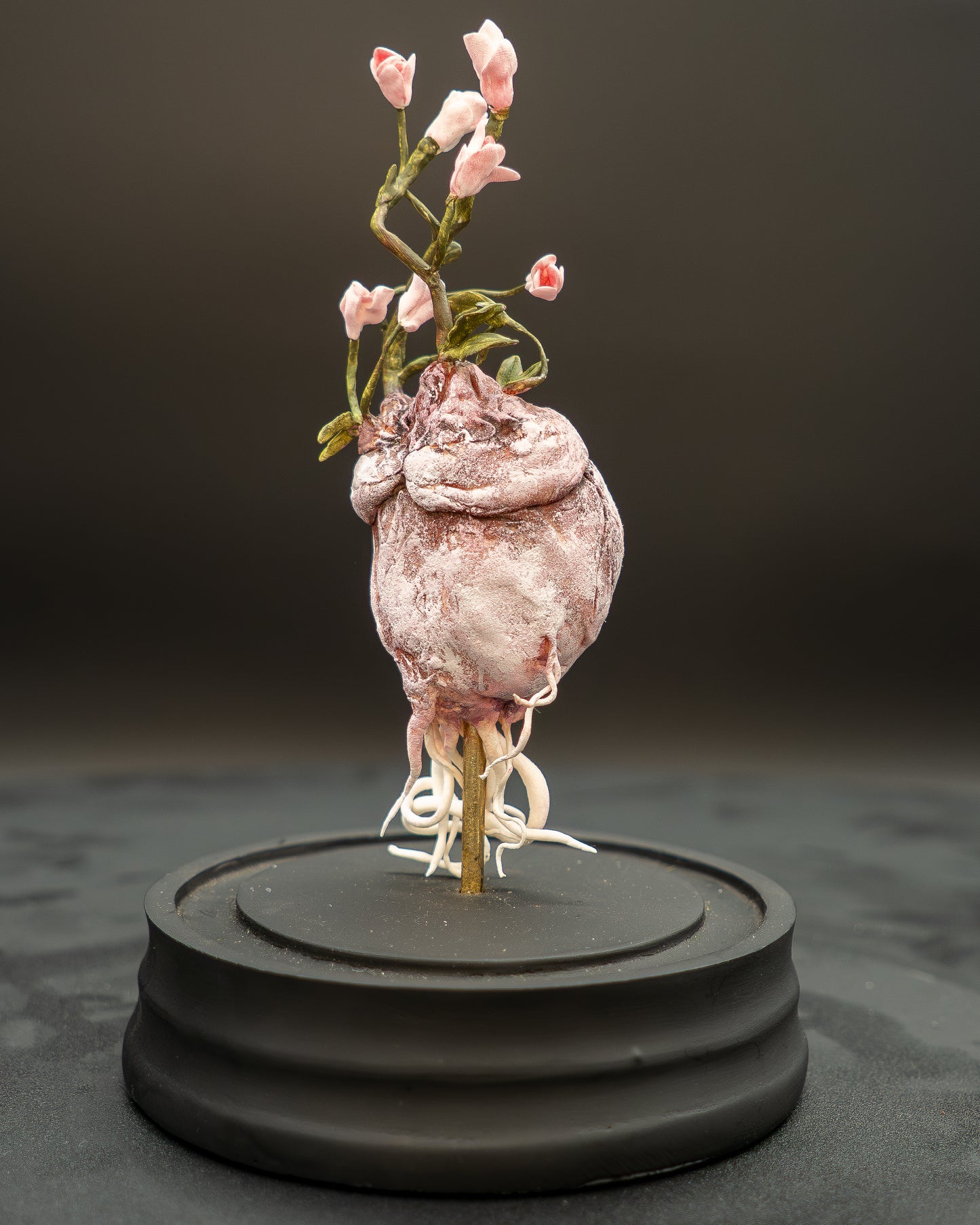 Cœur de la forêt