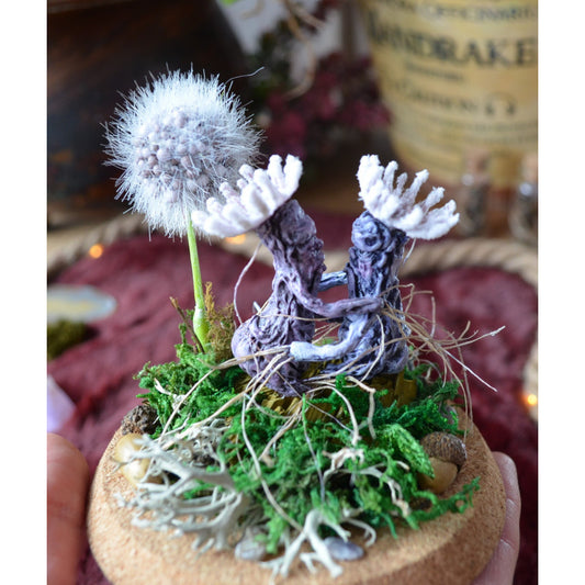 Couple de Mini Mandragores