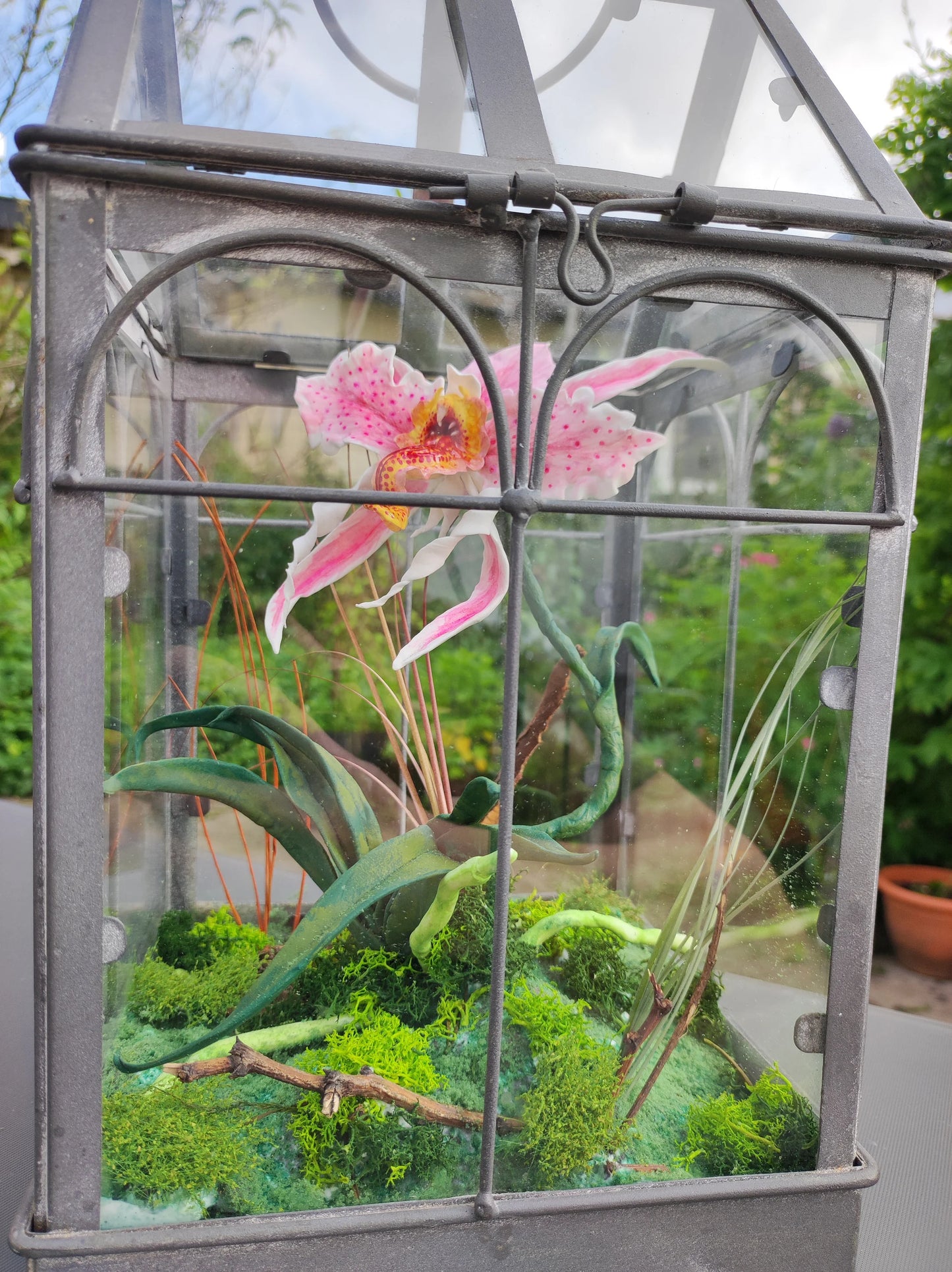 Orchidée Mordeuse