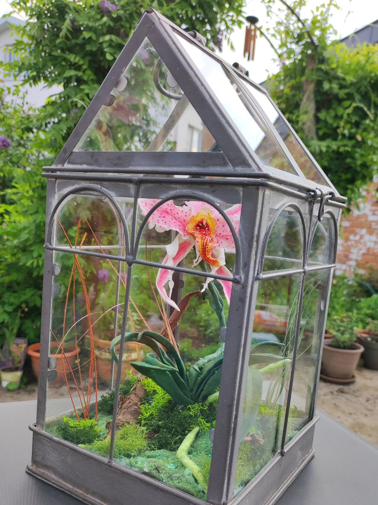 Orchidée Mordeuse