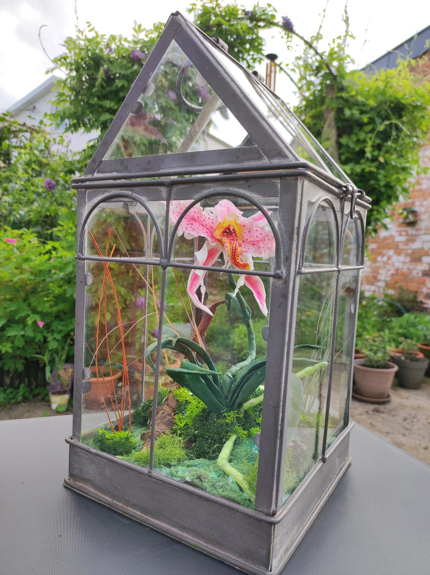 Orchidée Mordeuse