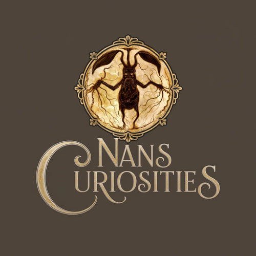 Nans Curiosities