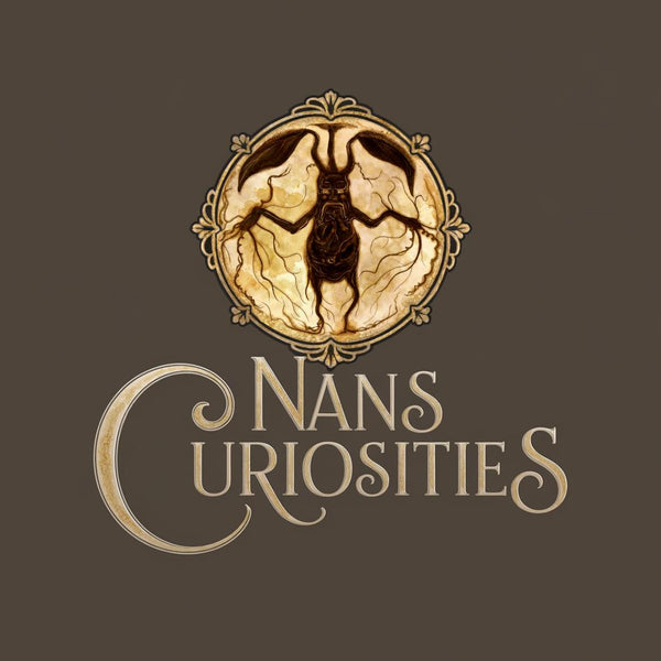 Nans Curiosities